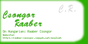 csongor raaber business card